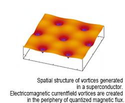 Spatial structure of vortices generated in a superconductor. Electric current vortices are created in the periphery of quantized magnetic flux.