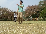 2009hanami17.jpg