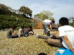 2009hanami32.jpg