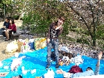 2009hanami49.jpg
