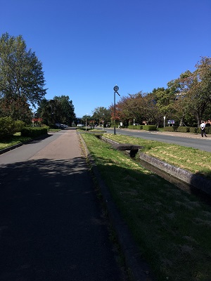 s_IMG_6347.jpg